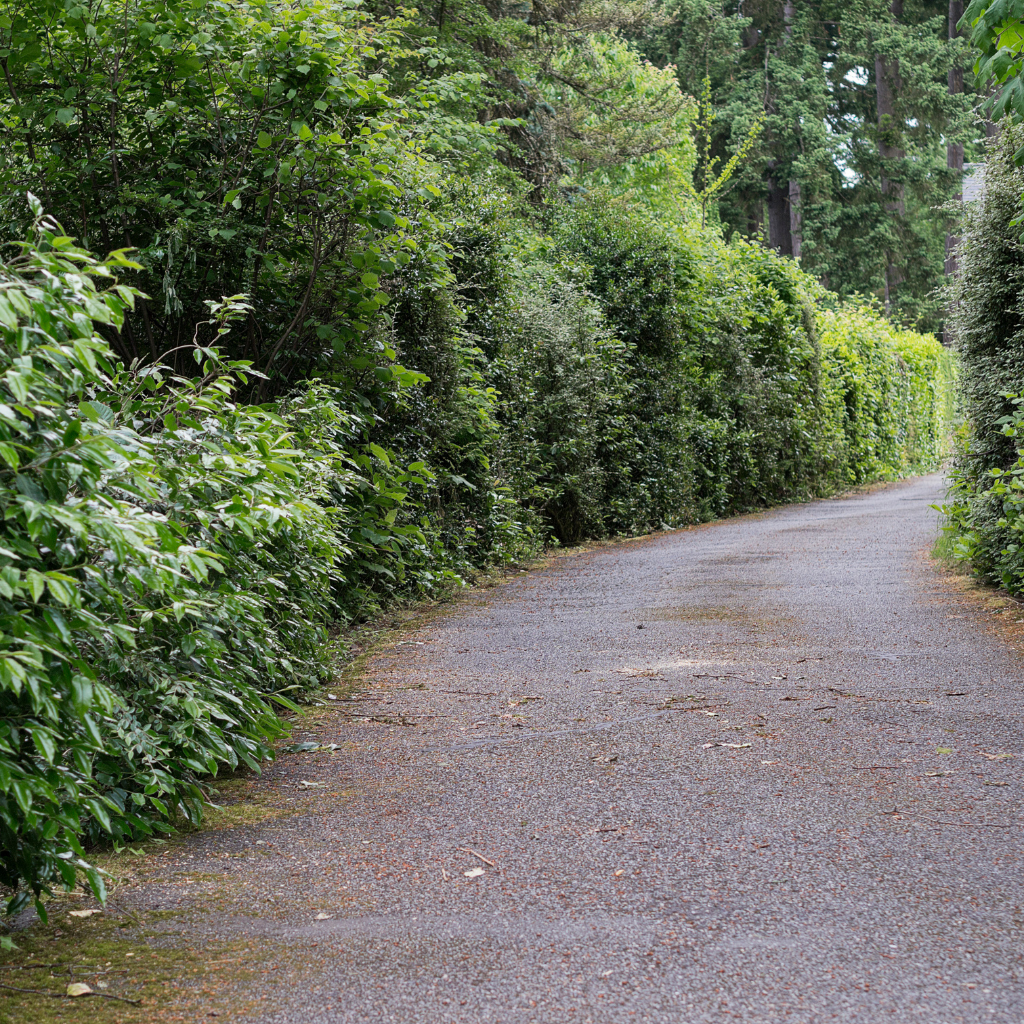 Quality Tarmaced Driveway by WCD